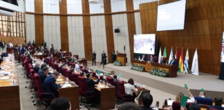 Integrantes del bloque UxP en el Parlamento del Mercosur apoyan la candidatura de Cristina al frente del PJ nacional