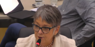Alicia Castro, en FM La Patriada: «Los diputados libertarios buscan la extranjerización de los cielos argentinos»