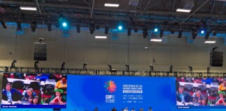 La COP16 de Colombia terminó con la certeza de que la preservación de la biodiversidad no es prioritaria para Argentina