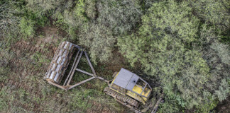 Los desmontes en el norte del país superaron las 100.000 hectáreas en lo que va del año