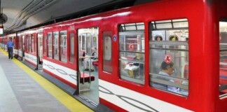 Denuncian una infestación de sarna en la línea B de subte