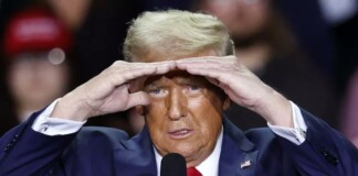 Elecciones en Estados Unidos: la ultraderecha del mundo canta victoria junto a Trump