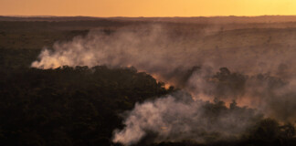 El área destruida por los incendios forestales en Brasil subió un 90% hasta noviembre