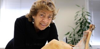 Mabel Bianco: «El discurso de odio de Milei está generando violencia» contra las mujeres