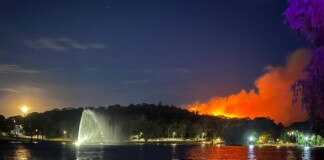 Alerta en Tandil por un incendio forestal de gran magnitud en una zona serrana