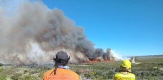 Despidos entre los brigadistas de Parques Nacionales que combaten los incendios forestales