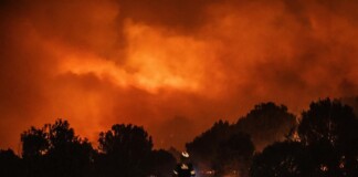 Incendios en El Bolsón: cara y ceca del combate contra el fuego