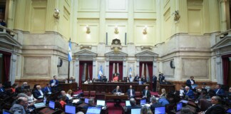 El Senado dictaminó Ficha Limpia: el kirchnerismo denunció proscripción y acusó de estafador a Milei por $LIBRA