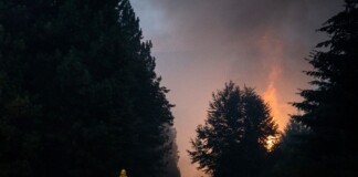 El fuego avanza en la Patagonia, donde ya consumió 28.100 hectáreas