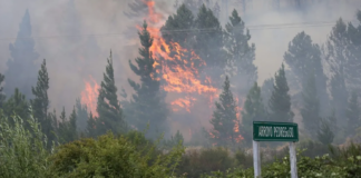 Epuyén: el gobierno de Chubut frenará la asistencia a las víctimas de los incendios