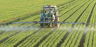 La Corte Suprema de Santa Fe confirmó que los agrotóxicos producen daño en la salud