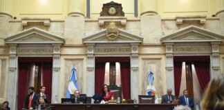 El Senado rechazó el proyecto Ficha Limpia y Cristina podrá ser candidata a nivel nacional