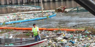 El Municipio de Tigre pidió la reposición de las mangas de contención flotantes en la Pista Nacional de Remo