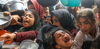 Unos 14.000 bebés morirán en los próximos dos días en Gaza si no llega la ayuda humanitaria