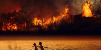 La justicia de Brasil autorizó la expropiación de las tierras afectadas por incendios provocados