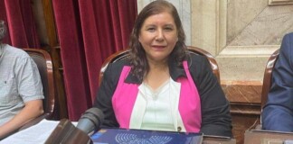 Yolanda Vega sobre el Caso Libra: «Una alternativa es que Karina Milei pueda atendernos en Casa Rosada»