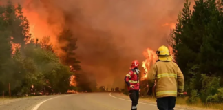 Incendios en Chubut: se reavivaron los focos por el aumento de las temperaturas