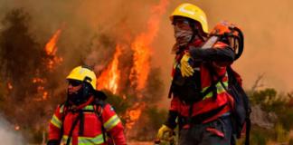 El Gobierno nacional declaró por DNU la Emergencia Ígnea en la Patagonia