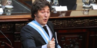 Milei juega solo y puede perder