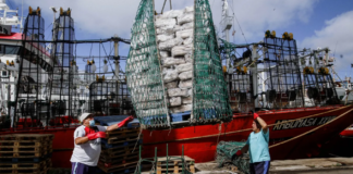 Pesca argentina: alerta de Enrique Mizrahi por costos y retenciones